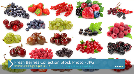 مجموعه تصاویر استوک تمشک ، انگور ، توت فرنگی ، آلبالو | رضاگرافیک 